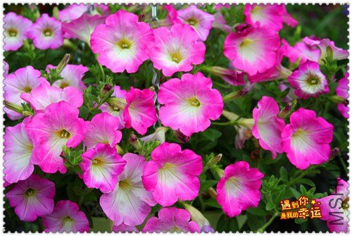 ��Ƭ 155_����.jpg