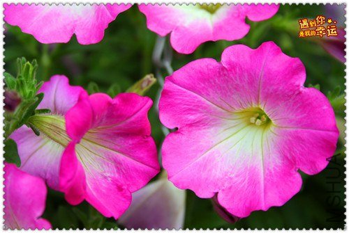 ��Ƭ 160_����.jpg