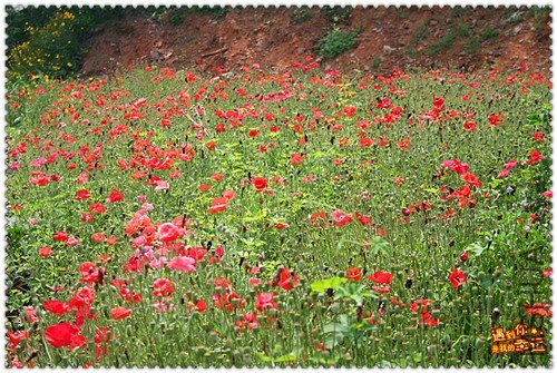 ��Ƭ 073_����.jpg