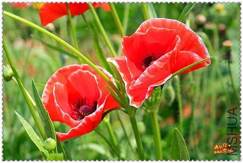 ��Ƭ 075_����.jpg