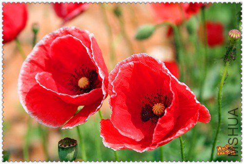 ��Ƭ 078_����.jpg