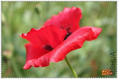 ��Ƭ 083_����.jpg