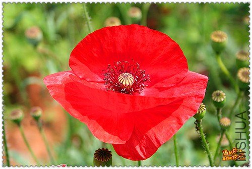 ��Ƭ 088_����.jpg