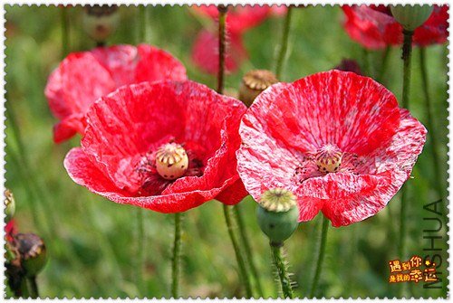 ��Ƭ 091_����.jpg