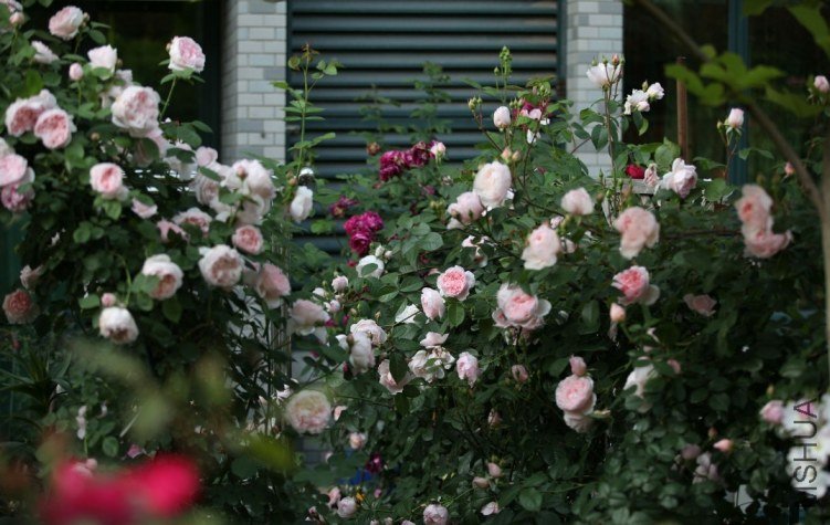 QQͼƬ20130624194240.jpg