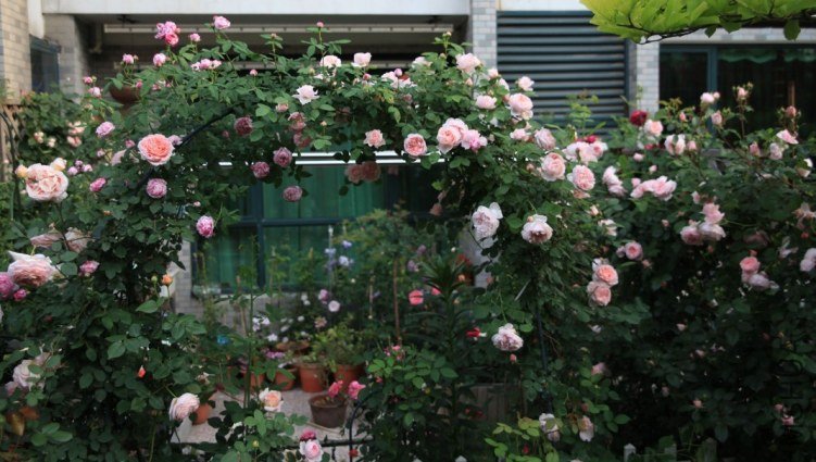 QQͼƬ20130624194103.jpg