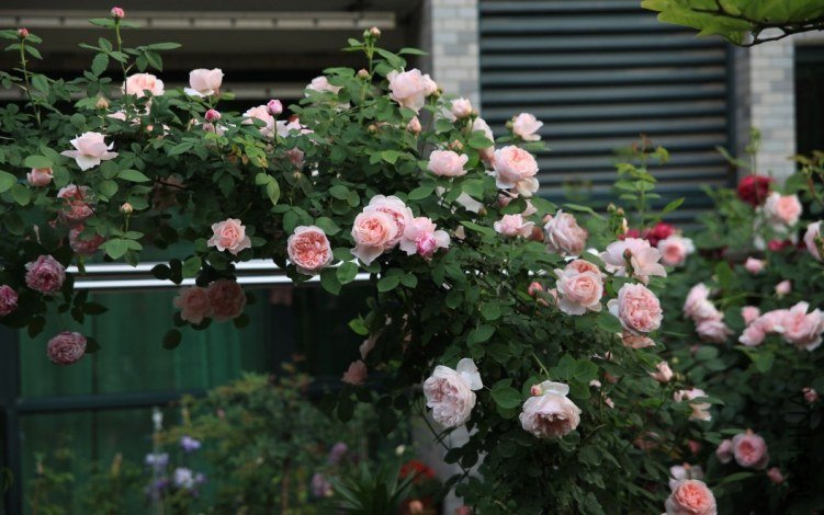 QQͼƬ20130624194044.jpg
