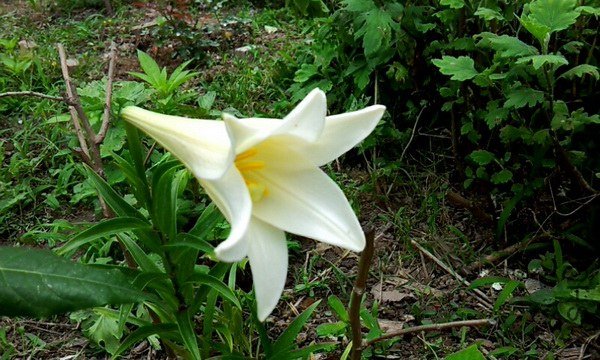 p_20130616_112101858.jpg