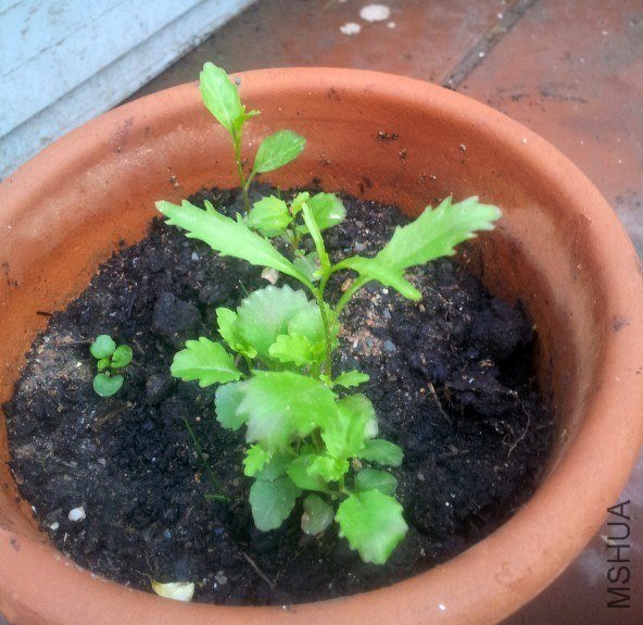 QQͼƬ20130625112300.jpg