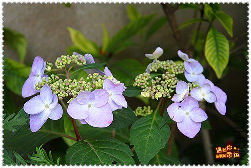 ��Ƭ 002_����.jpg