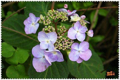 ��Ƭ 004_����.jpg