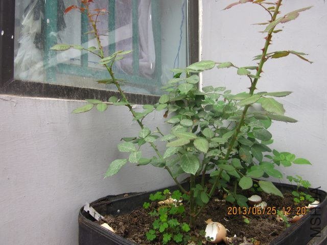 �� ɢ�� 030_1.jpg