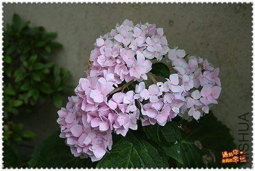 ��Ƭ 041_����.jpg