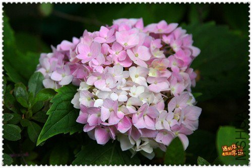 ��Ƭ 045_����.jpg