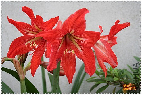 ��Ƭ 047_����.jpg