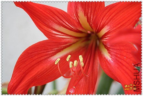 ��Ƭ 050_����.jpg