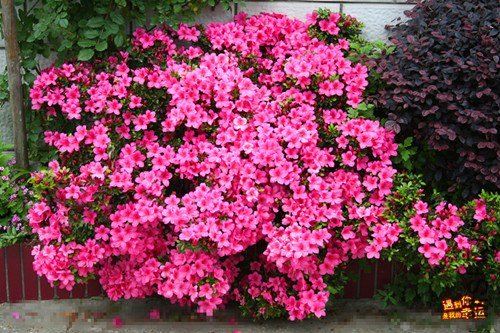 ��Ƭ 055_����.jpg