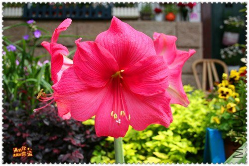 ��Ƭ 029_����.jpg