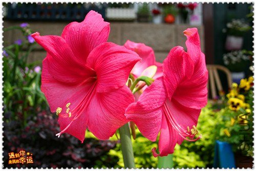 ��Ƭ 031_����.jpg