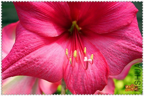 ��Ƭ 034_����.jpg