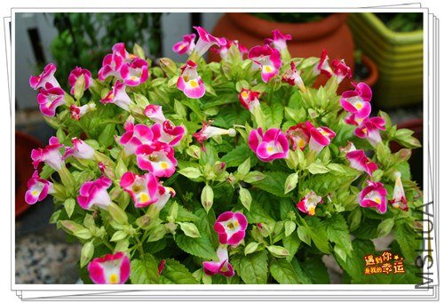 ��Ƭ 177_����.jpg