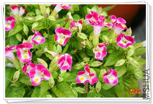 ��Ƭ 179_����.jpg