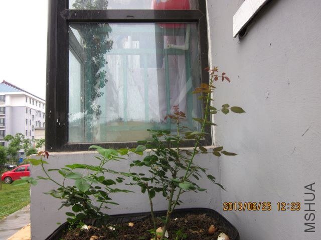 �� ɢ�� 036_1.jpg