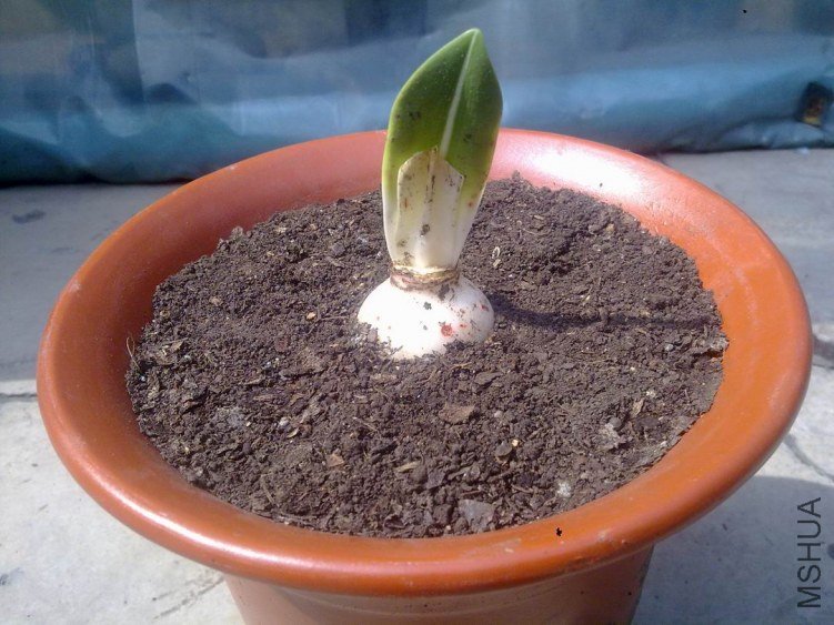 201306252202222.jpg