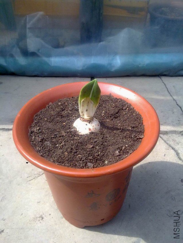 20130625219.jpg