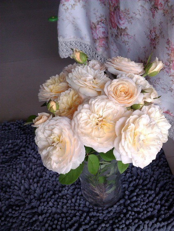 IMG_20130622_181921.jpg