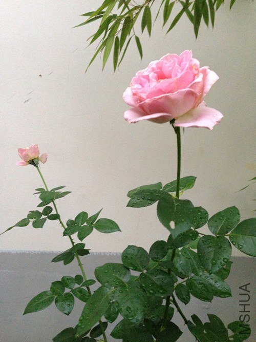 ��Ƭ 055_����.jpg
