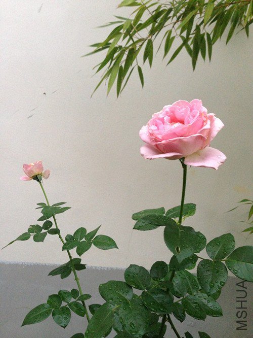 ��Ƭ 056_����.jpg