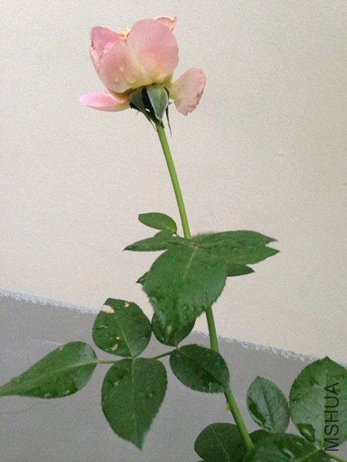 ��Ƭ 059_����.jpg