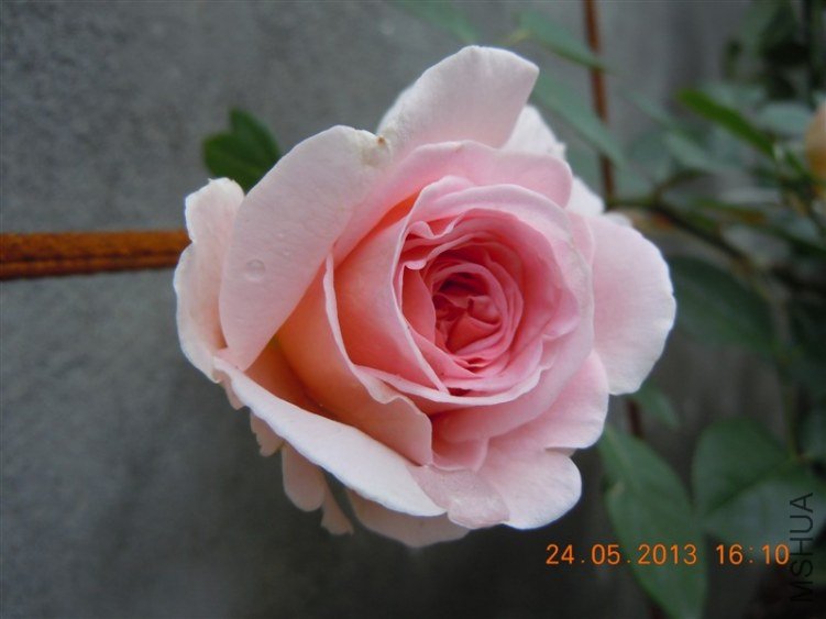 �ǲ��������