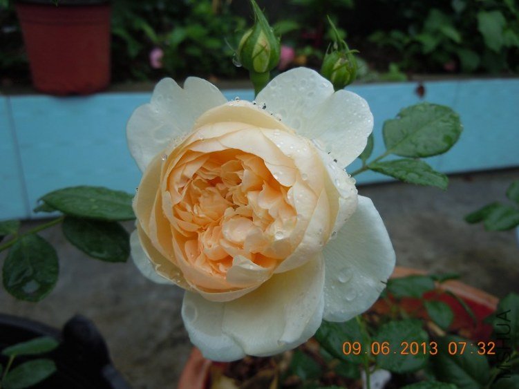 ���ʵ����