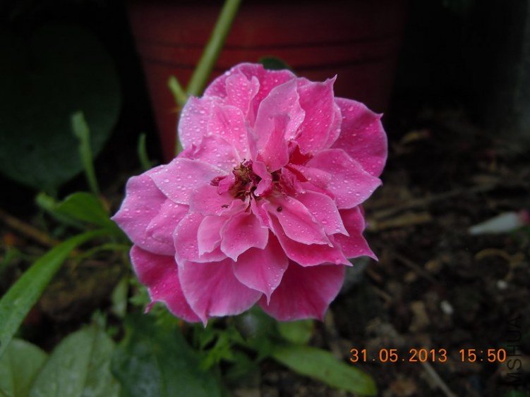 ���Ӳ������������¼�