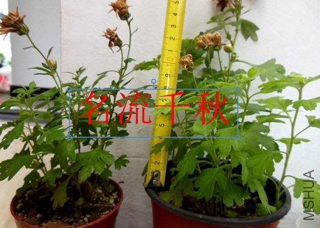 QQ��ͼ20130626140727.jpg