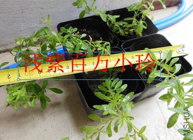 QQ��ͼ20130626141514.jpg