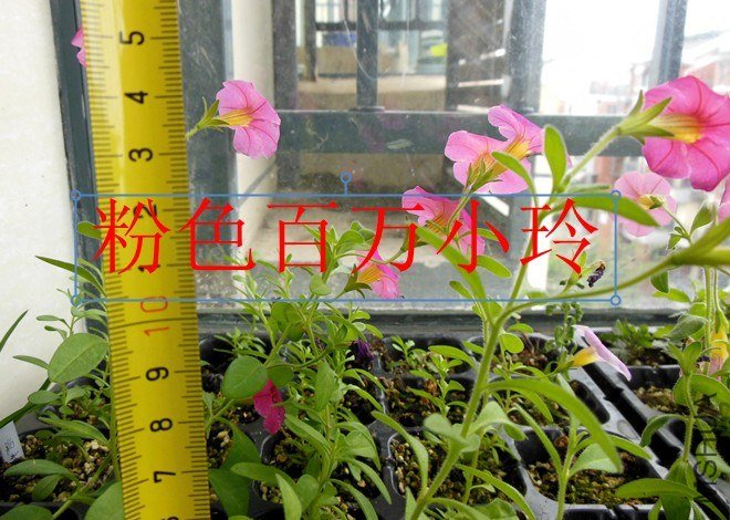 QQ��ͼ20130626141558.jpg