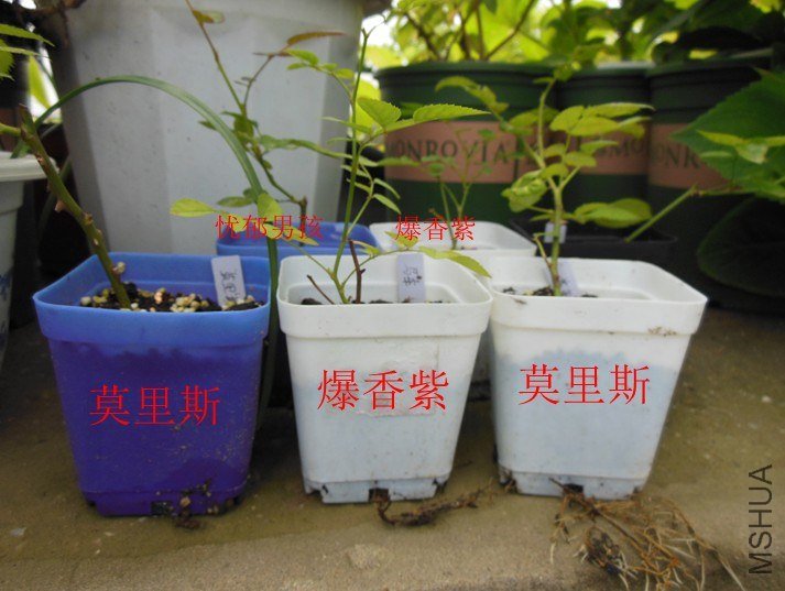 QQ��ͼ20130626141750.jpg