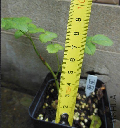 QQ��ͼ20130626141938.jpg