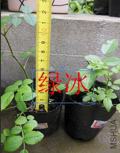 QQ��ͼ20130626142054.jpg