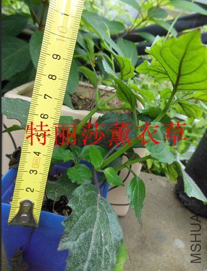 QQ��ͼ20130626142247.jpg