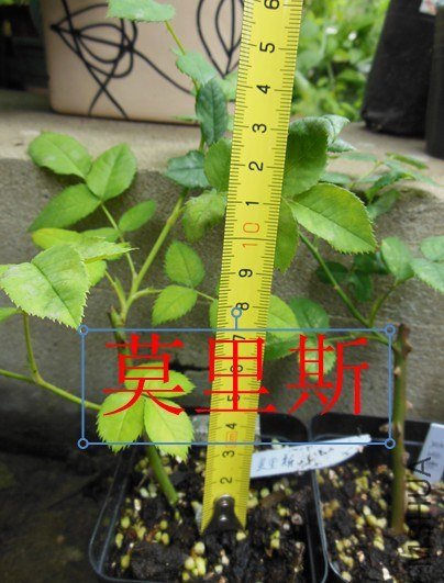 QQ��ͼ20130626142138.jpg