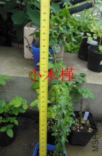 QQ��ͼ20130626142331.jpg