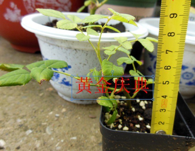 QQ��ͼ20130626142448.jpg
