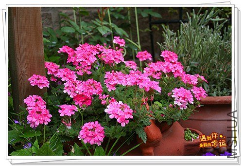 ��Ƭ 109_����.jpg