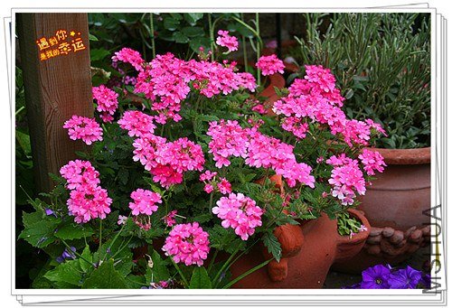 ��Ƭ 110_����.jpg