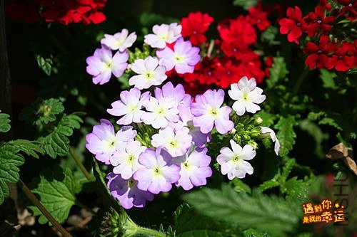 ��Ƭ 111_����.jpg