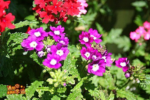 ��Ƭ 115_����.jpg